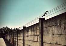 Nyolcra emelkedett a Szőlő utcai ügy gyanúsítottjainak száma