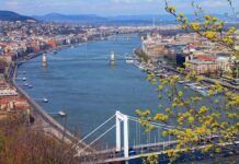 Elstartol a Budapesti Zöld Panelprogram