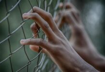 Újabb gyanúsított a Szőlő utcai ügyben