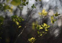Jellemzően napos idő várható a hétvégén
