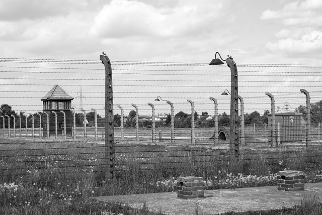 auschwitz, holokauszt