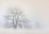 Vasárnapig enyhül az időjárás, utána ismét hűlni fog a levegő