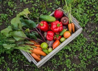 Kezdjük az évet a veganuárral