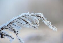 Az átlagosnál hidegebb és csapadékosabb volt a január