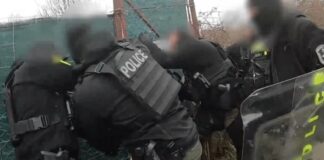 Komlói férfi termesztette, a basali páros pedig árulta a drogot Baranyában