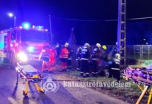 22 és 26 éves fiatalok haltak meg az éjszakai balesetben