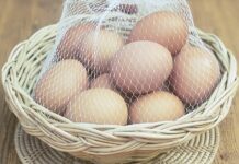 Tojás az egészségünkért, és a szépségünkért