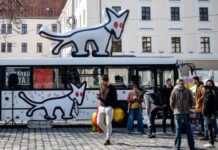 Kutyapárt kampányköltés: felfújható kutyákra is jutott pénz