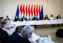 Forintgyengülés és Moody’s-döntés: Magyar Péter kormánya nehéz teszt előtt