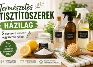 Természetes tisztítószerek házilag: 5 egyszerű recept vegyszerek nélkül