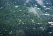 Ősi civilizáció nyomaira bukkantak az Amazonas mélyén, milliók élhettek a térségben