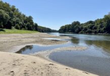 Nagyon alacsony a Tisza vízhozama, rendkívüli intézkedésekre van szükség az ívóvízellátás védelmében