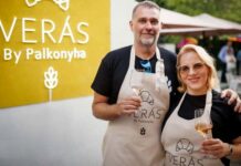 Tóth Vera vállalkozásai veszteségesek: hiába a milliós bevétel, alig marad pénz