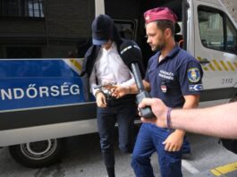 Rács mögött marad Jellinek Dániel és az MNV volt vezére: egy hónapra elrendelték a letartóztatásukat