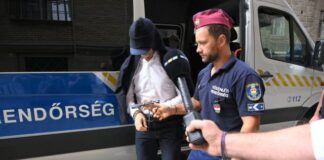 Rács mögött marad Jellinek Dániel és az MNV volt vezére: egy hónapra elrendelték a letartóztatásukat