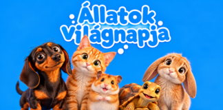 Ma van az állatok világnapja – egy nap, amely róluk és a felelősségünkről szól